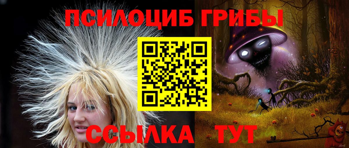Волгодонск  Псилоцибиновые грибы мухоморы  хочу   Вход с VPN 